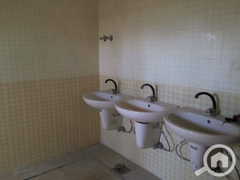 9 IMG_3755_Original. jpg