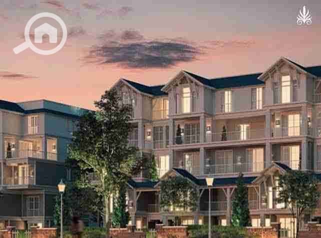 5 images - 2025-12-08T002849.992. jpeg