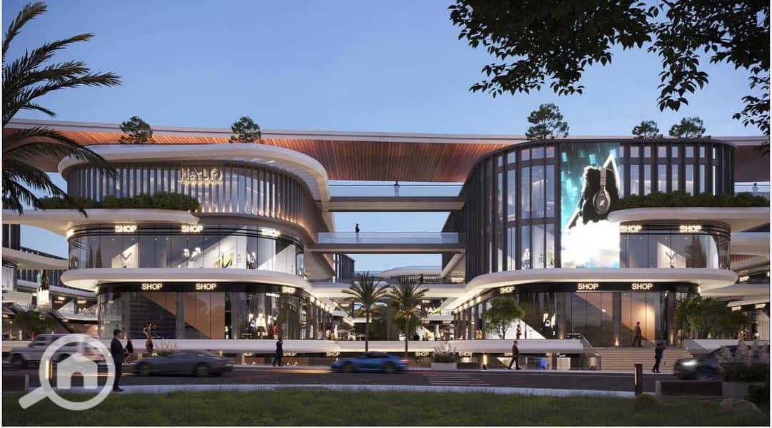 8 photo_8_2025-12-07_17-40-26. jpg