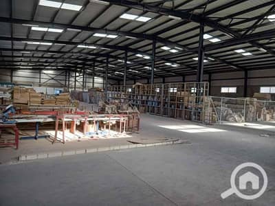 مصنع  للبيع في برج العرب، الإسكندرية - 90c1dcb3-d0bf-4b57-b483-97dcb741ba55. jpg