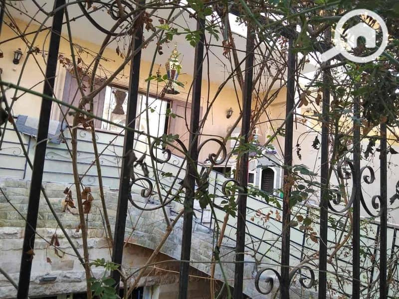 11 1a77dd32-4f09-4b20-8560-7bf355697aec. jpg