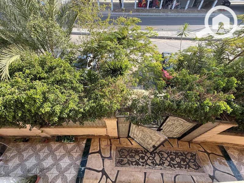 12 fde1cd66-d2fe-4d88-b6e3-a15ec92f059a. jpg