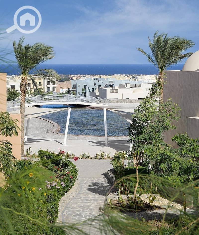 8 photo_2025-02-01_20-12-54. jpg