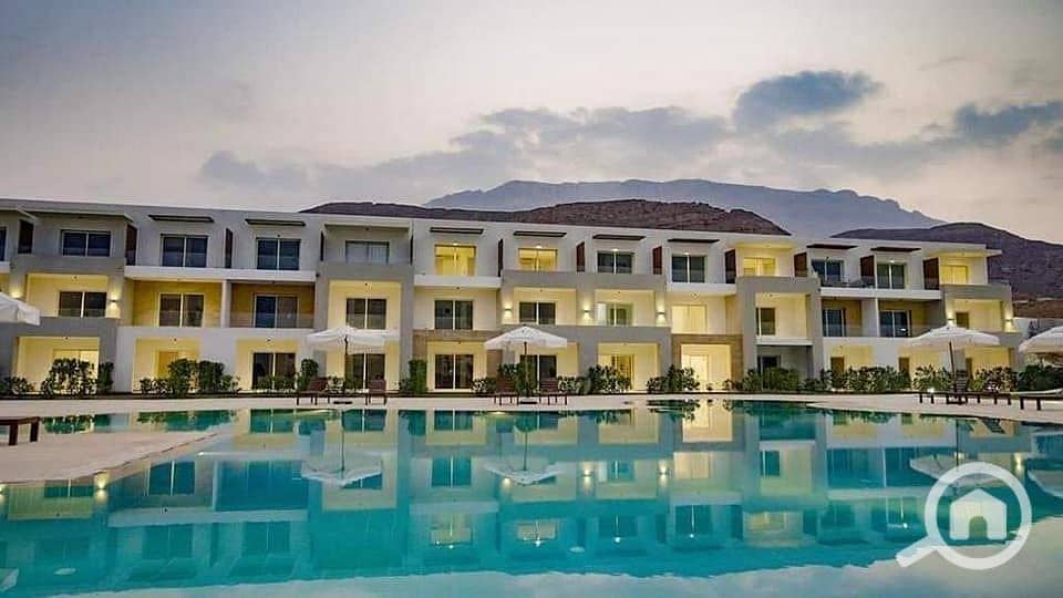 2 485766422_3532102790431147_8729504777935408830_n. jpg