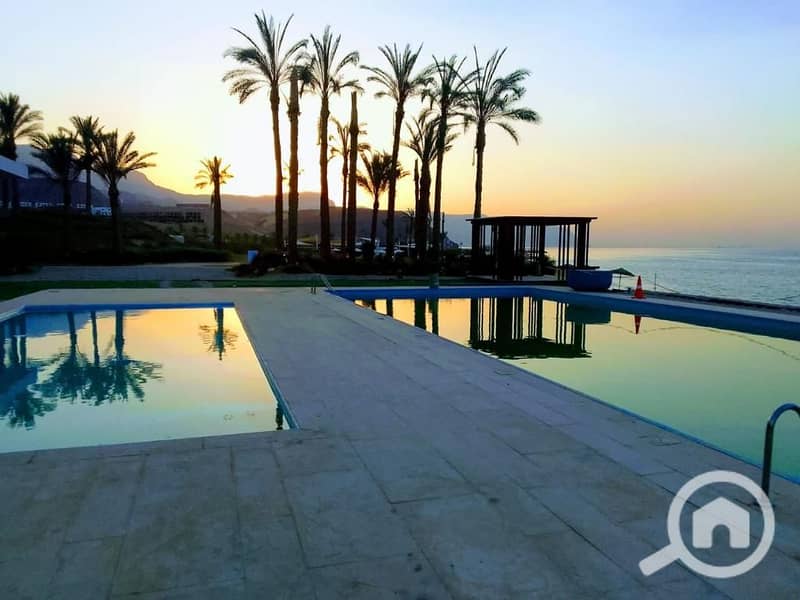 4 480256470_965327162409480_1184305823572396898_n. jpg