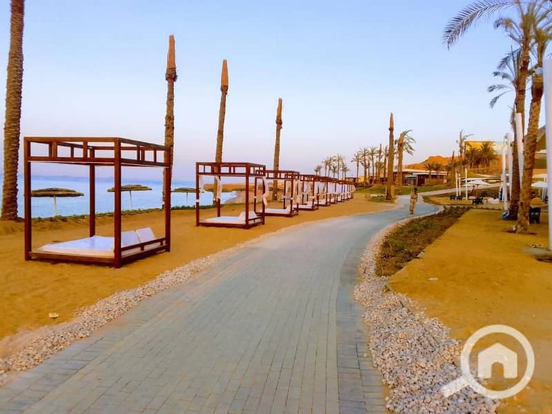 6 480496065_965327412409455_7177762333364408012_n. jpg