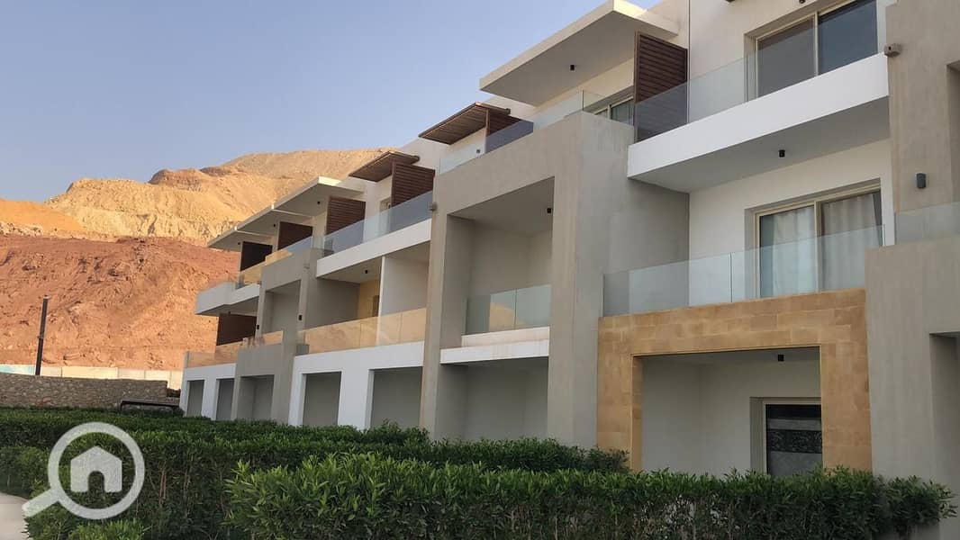 8 514283654_604268262734485_3718150188795626289_n. jpg