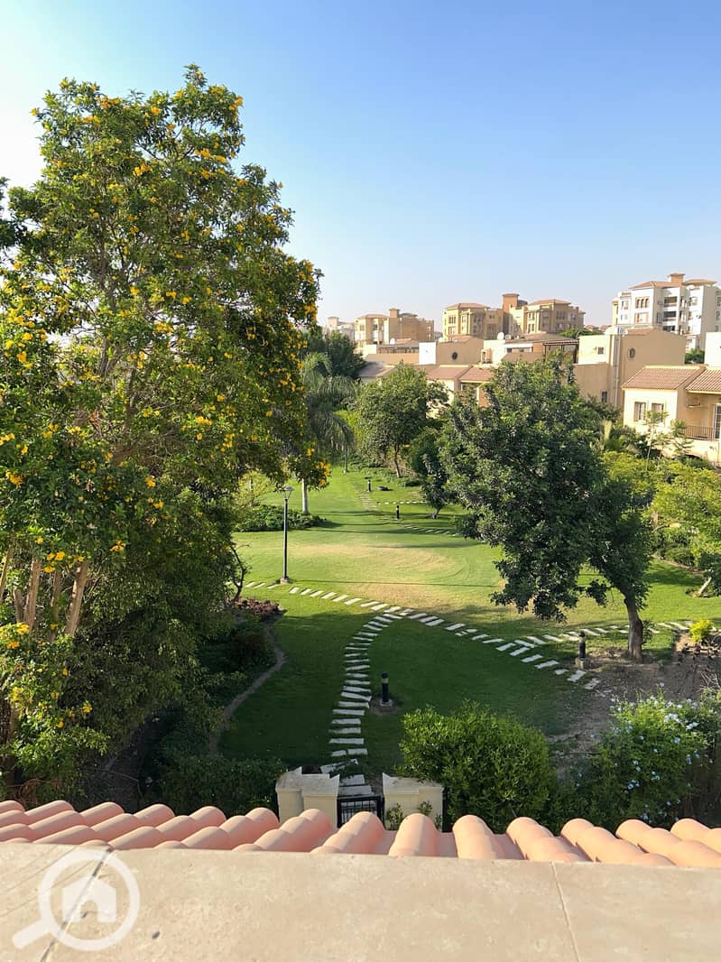 7 382def38-c416-4e6f-8cac-6c84d82d1c46. jpeg