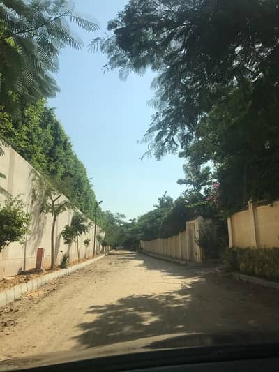 Residential Land for Sale in King Mariout, Alexandria - أرض للبيع فى كينج ماريوت من المالك مباشره