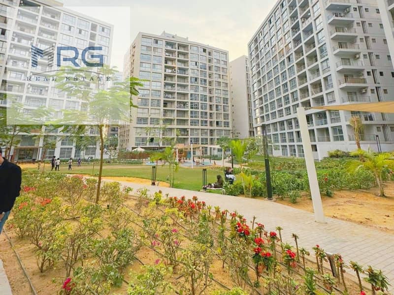 IMG_20250127_105234. jpg