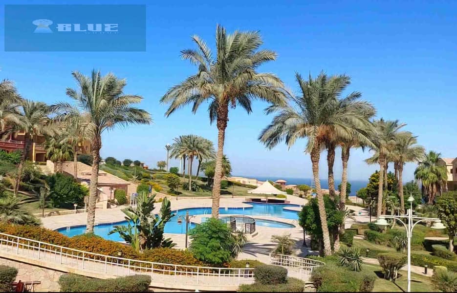 1004108655. jpg 1004108655. jpg