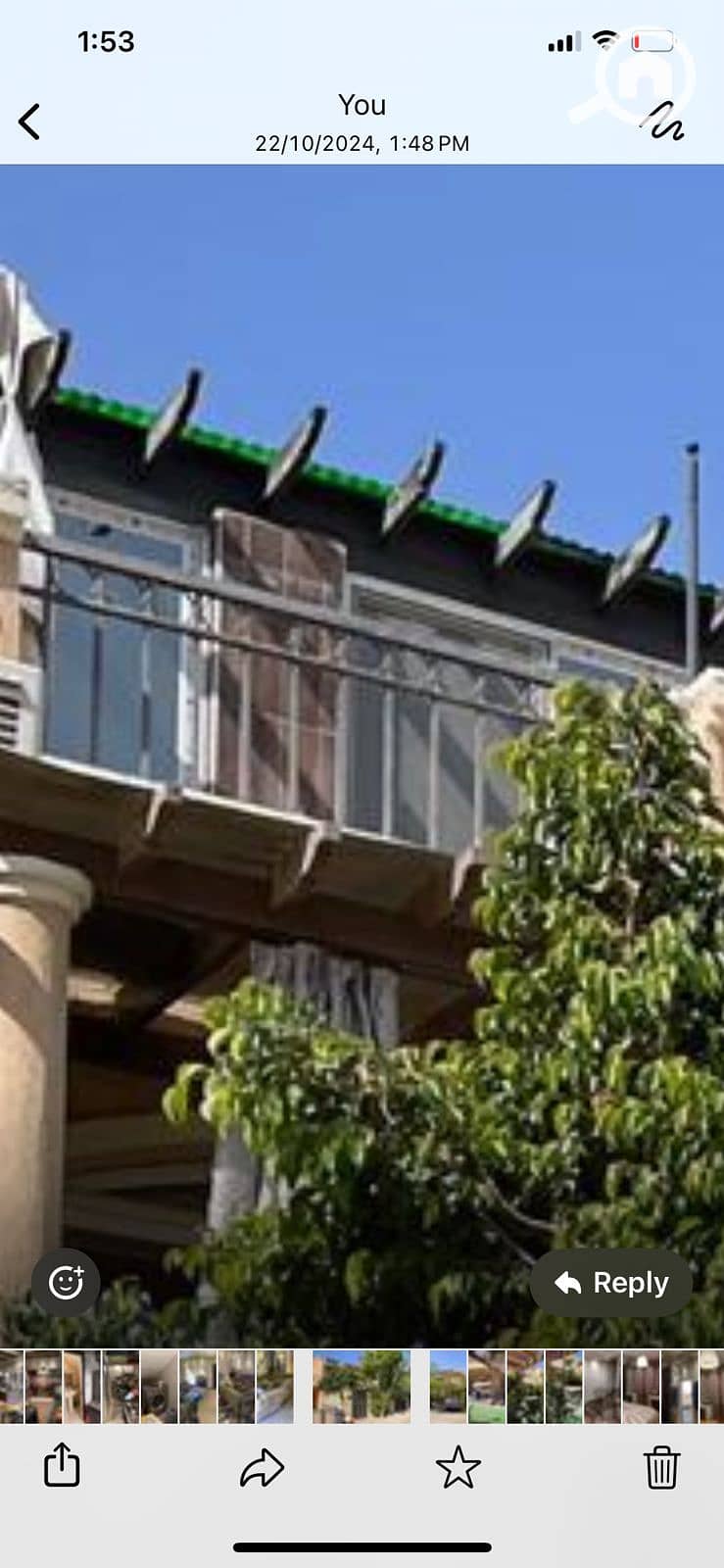 10 59765b56-330b-4aad-a229-53f40e76cba5. jpeg