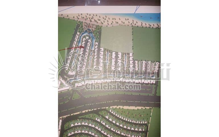 4 WhatsApp Image 2025-02-13 at 3.12. 52 PM (1). JPG