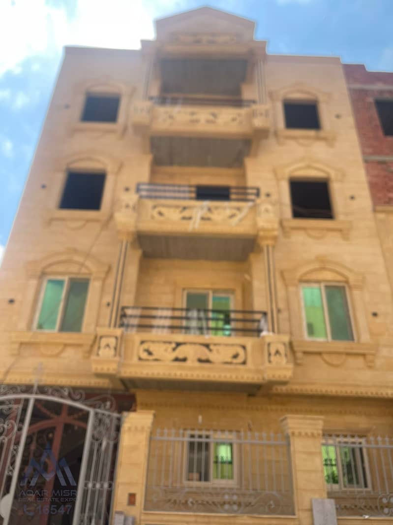 3 WhatsApp Image 2025-11-10 at 13.53. 38_09a650ab - Mina Adel. jpg