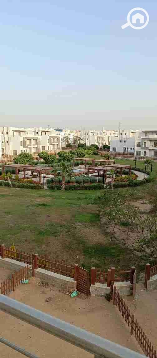 IMG-20240520-WA0290. jpg IMG-20240520-WA0290. jpg