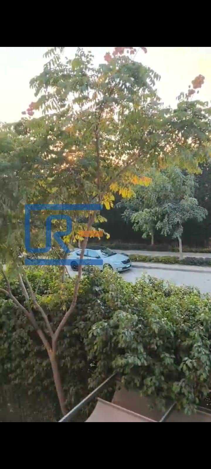 6 IMG-20251207-WA0257. jpg