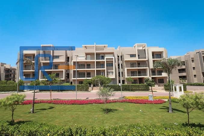 12 IMG-20250417-WA0239. jpg