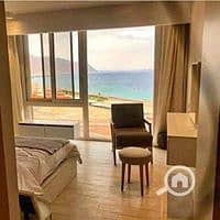 4 57599602_585645921988127_4214739501639008256_n. jpg