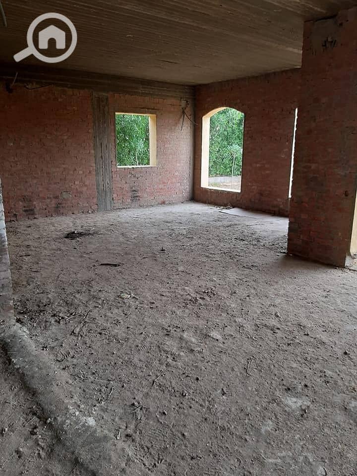 10 160899348_934591323999784_3685742673501402857_n. jpg