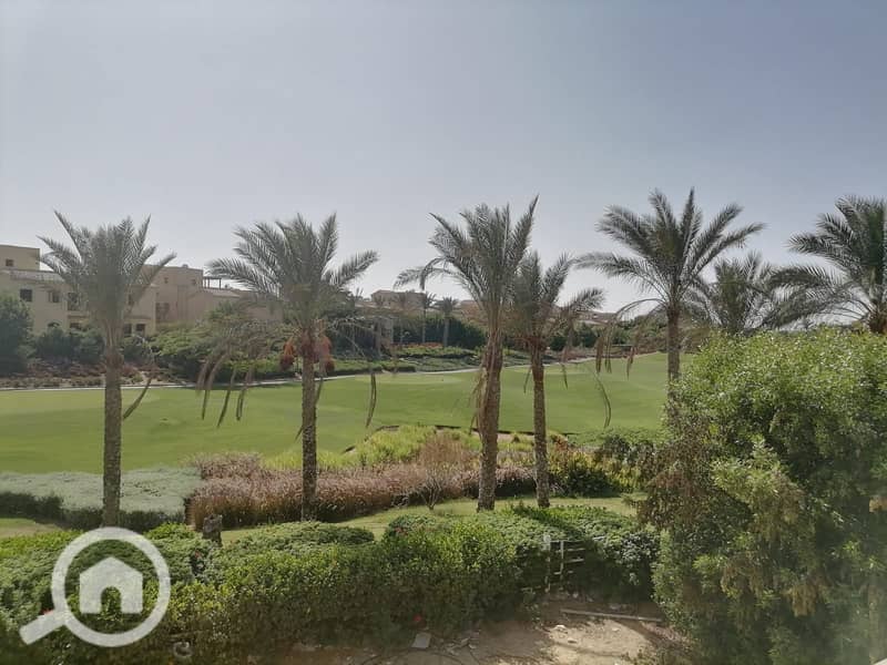 16 241631436_1044239946368254_2773872404573895201_n. jpg