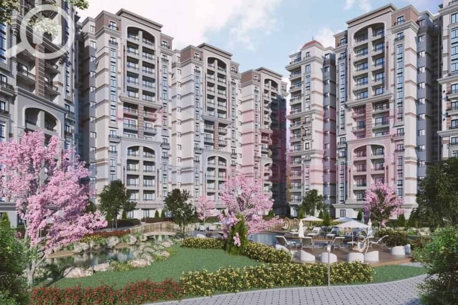 4 WhatsApp Image 2024-07-01 at 6.48. 10 AM. jpg