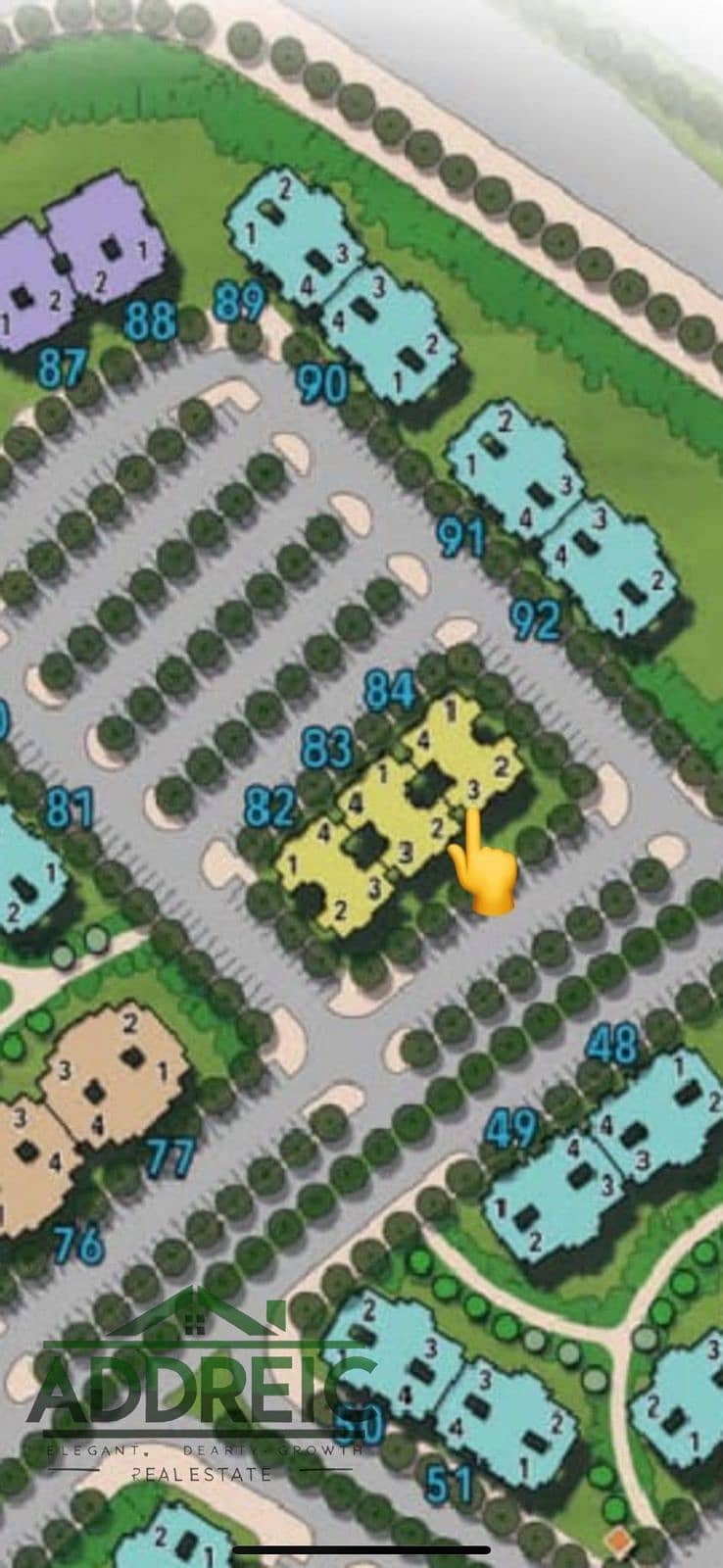 4 WhatsApp Image 2025-09-14 at 15.18. 40_3627b223. jpg