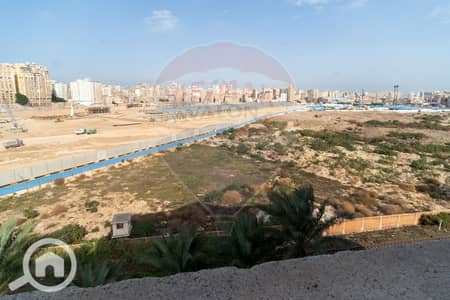 شقة 2 غرفة نوم للبيع في سموحة، الإسكندرية - 1. jpg