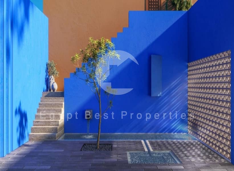 6 Screenshot_12-11-2024_12011_. jpeg