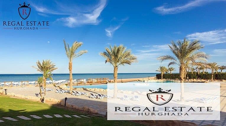 3 34239342-800x600. jpeg