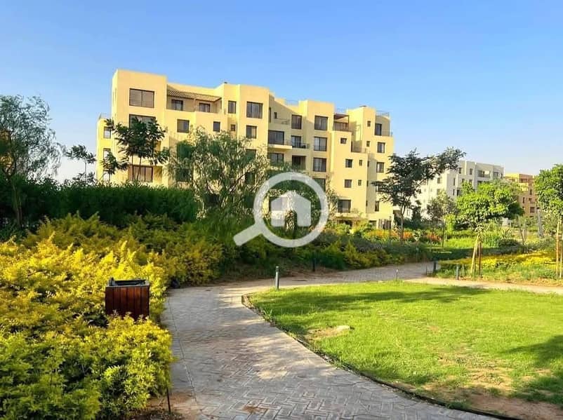 7 499878787_2594098277463306_4890975950724334072_n. jpg