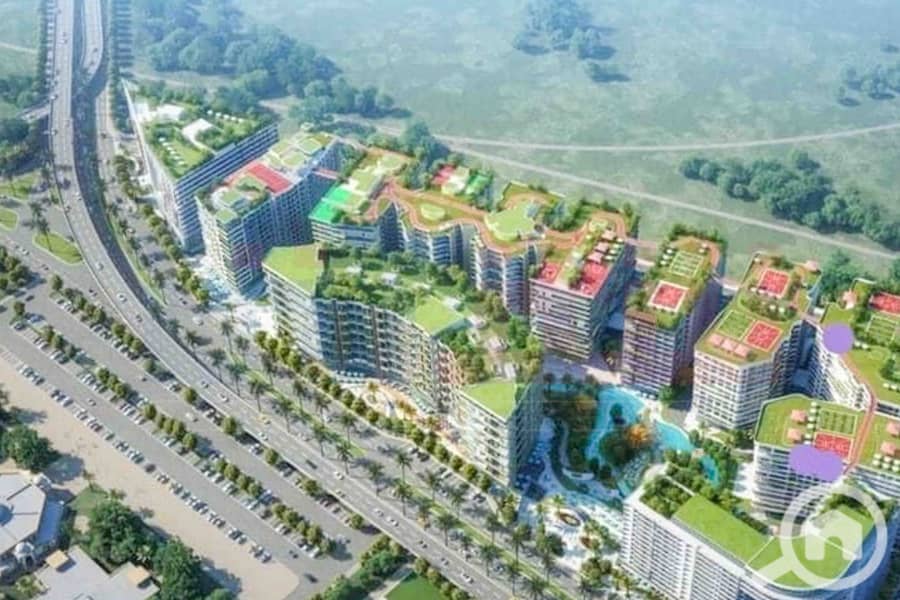 5 457193118_936641965164373_7697053552713594473_n. jpg