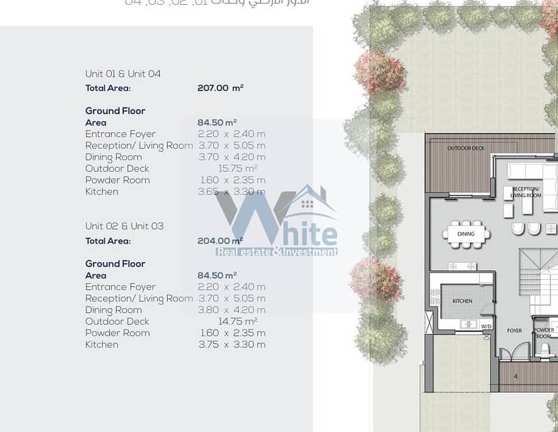 2 256ccf4a-70aa-4c77-9979-4d997c3c7bb4. jpg