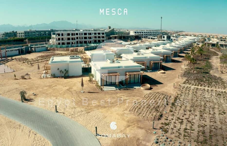 15 IMG-20250312-WA0257. jpg