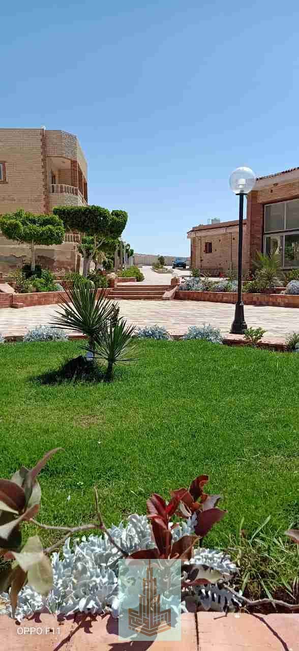 3 IMG-20251208-WA0004. jpg