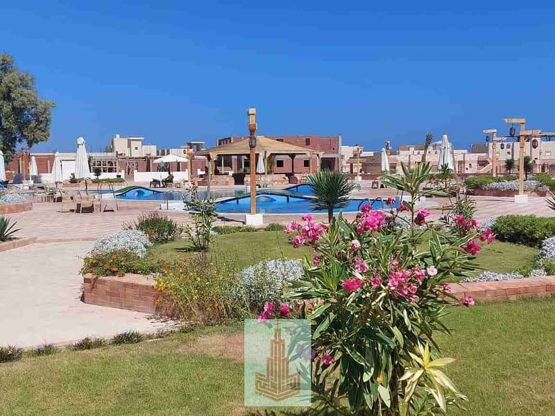 5 IMG-20251208-WA0005. jpg