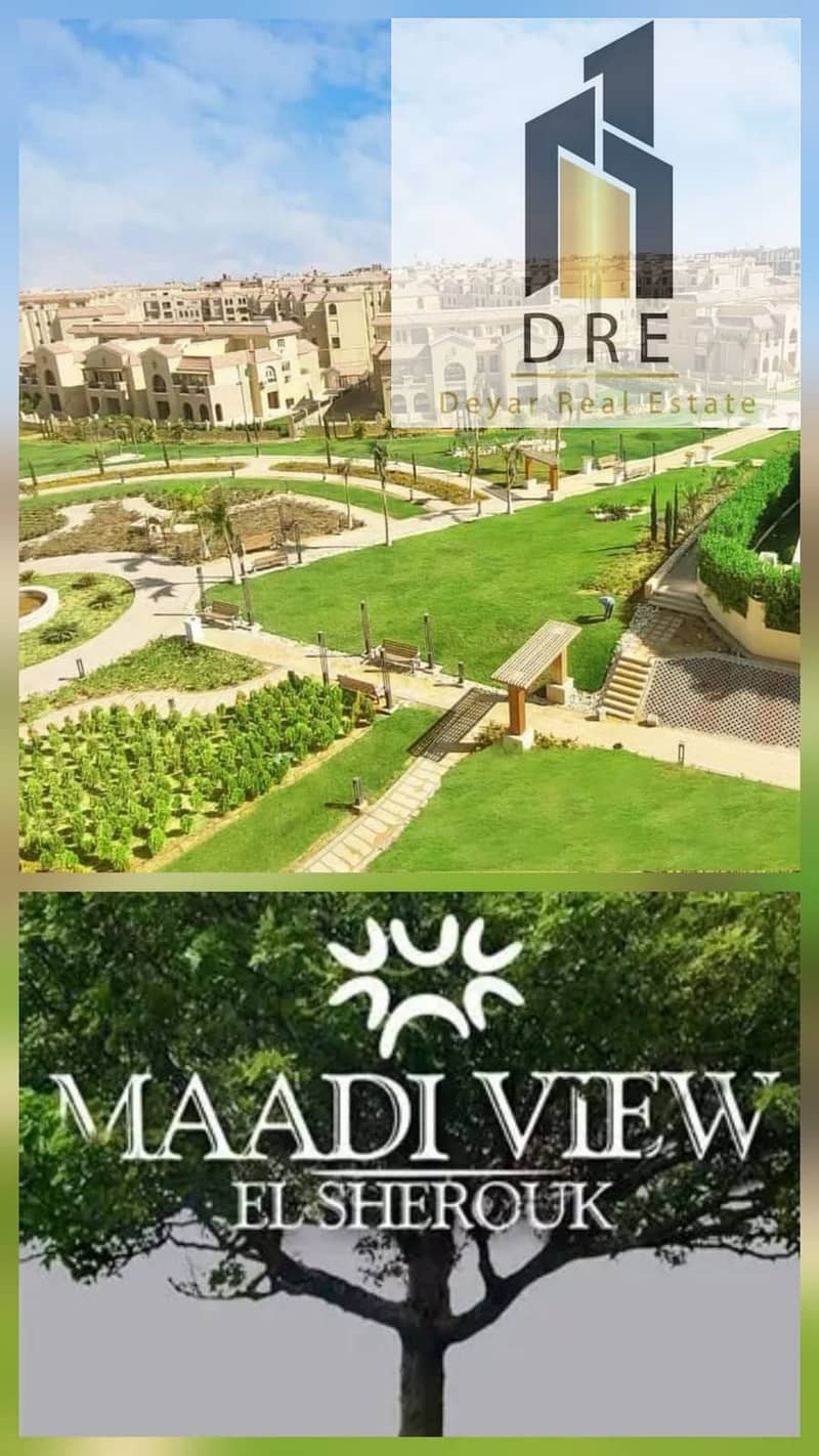 10 082487c7-d02c-4019-b11b-45919315e435. jpg