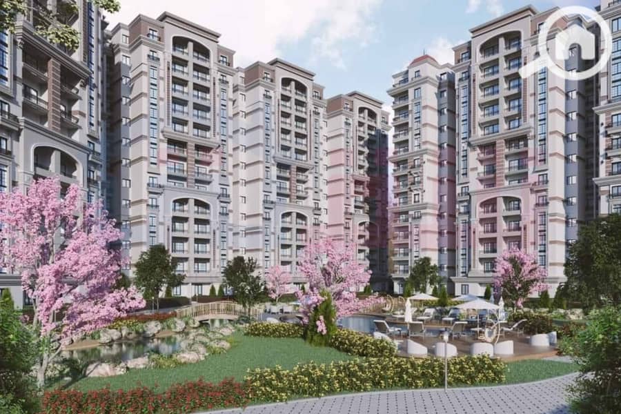 4 WhatsApp Image 2024-07-01 at 6.48. 10 AM. jpg