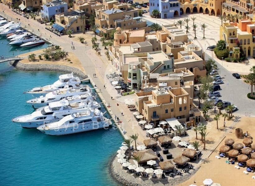 Screenshot_12-11-2024_12736_. jpeg