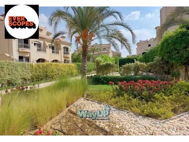 11 8368175-1e831o. jpg