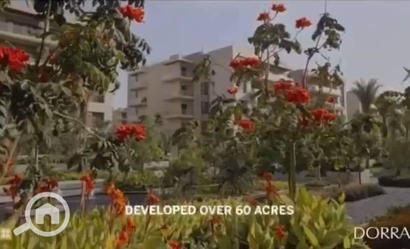 12 9-19-2024 3-36-30 PM - Copy. png