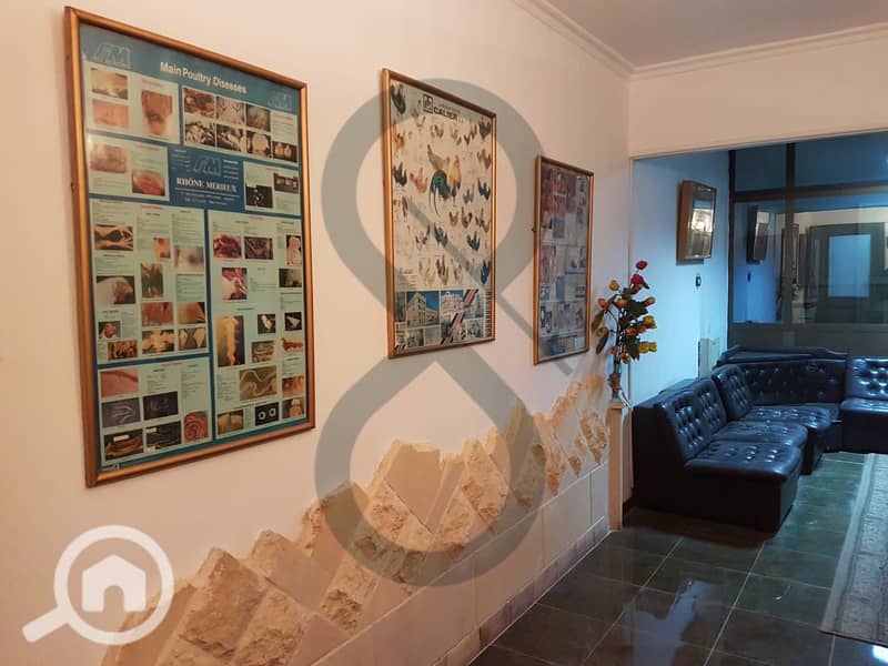 14 Smouha Office. (15). jpg