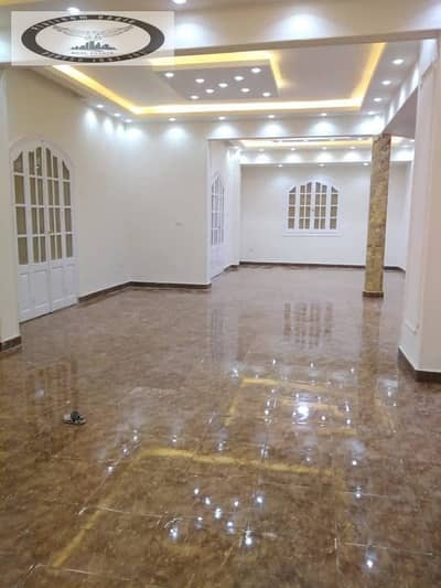3 Bedroom Apartment for Rent in New Cairo, Cairo - 89650bd9-07f4-4c56-bde9-94b348e51c40. jpg 3 Bedroom Apartment for Rent in New Cairo, Cairo - 89650bd9-07f4-4c56-bde9-94b348e51c40. jpg