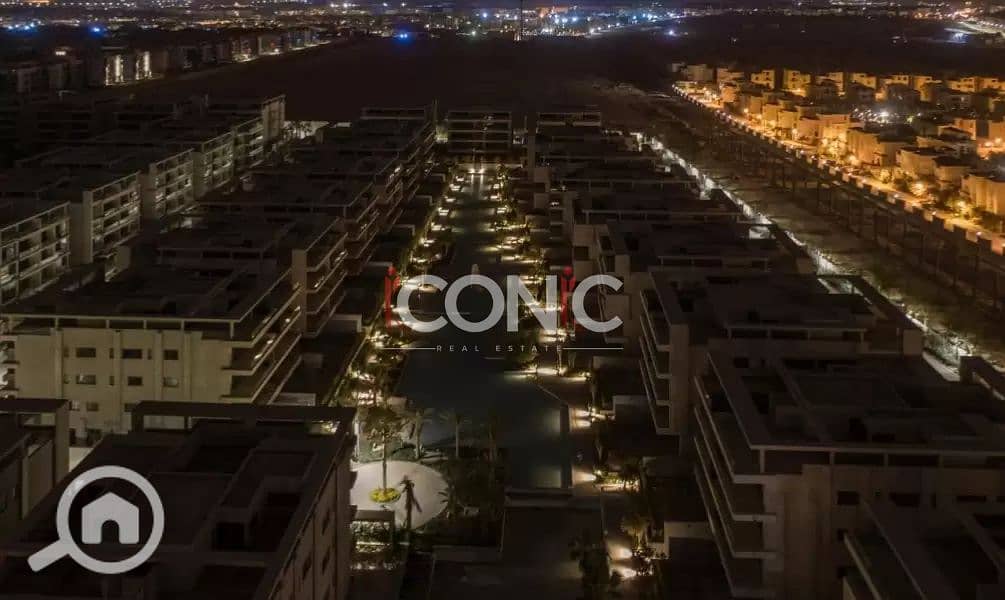 3 Untitled design (11). png