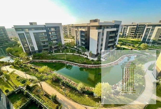 11 8025732-43e66o. jpg