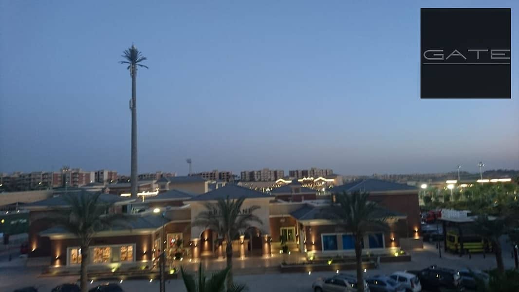 8 9ffc4df6-83e0-4235-9007-43e0b9ebcab0. jpg