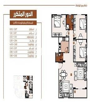 2 WhatsApp Image 2025-08-27 at 18.11. 25_cebbabb1. jpg000. jpg