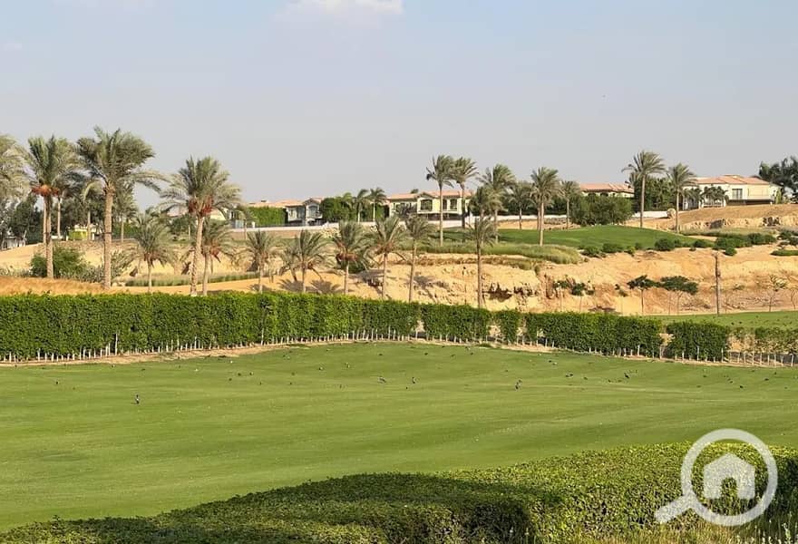 2 8317947-4e6edo. jpg