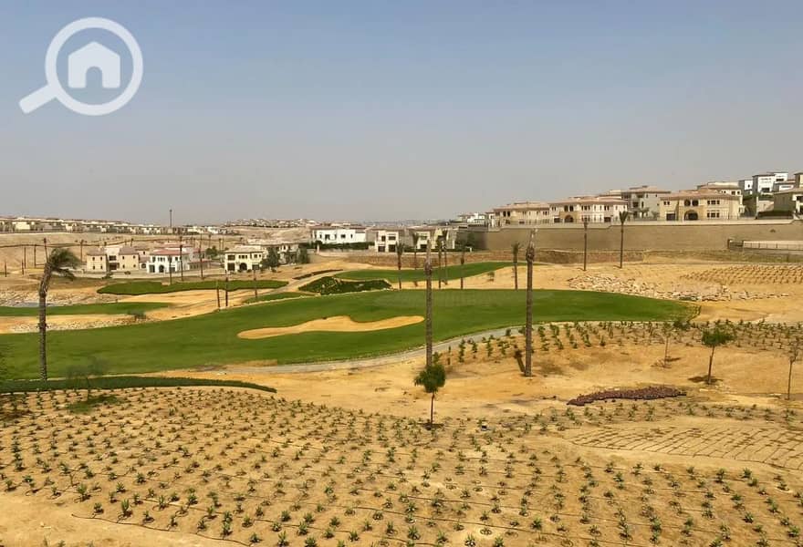 4 8317947-9d5e1o. jpg