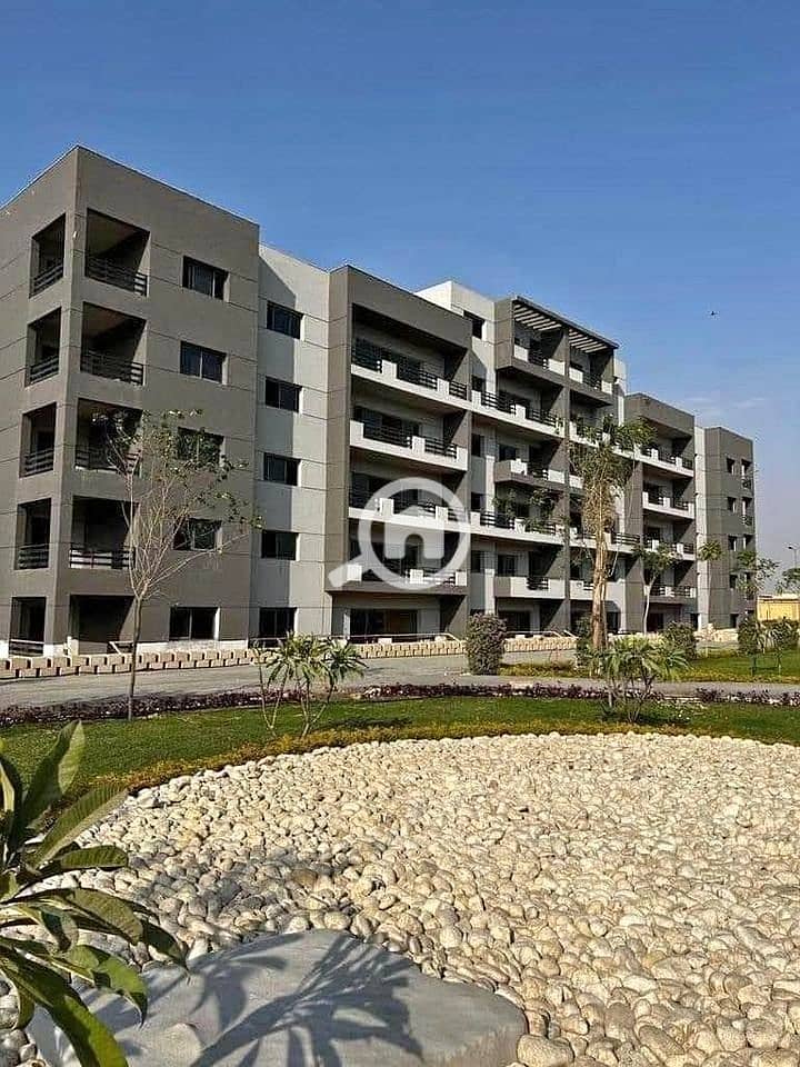 5 436263283_1516911429036999_1275715186123479578_n. jpg