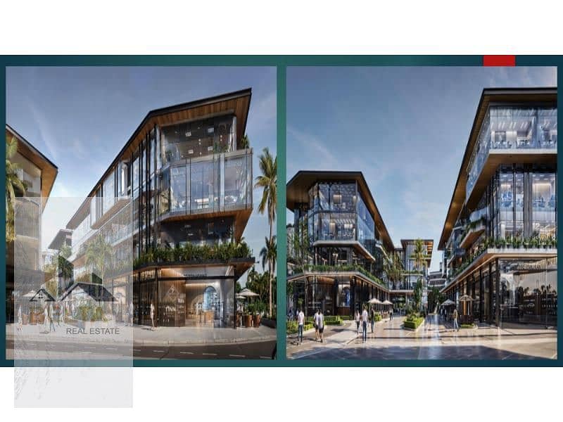 12 Screenshot 2024-12-03 160157. jpg